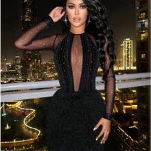 SHEIN Black Sheer Long Sleeve Dress